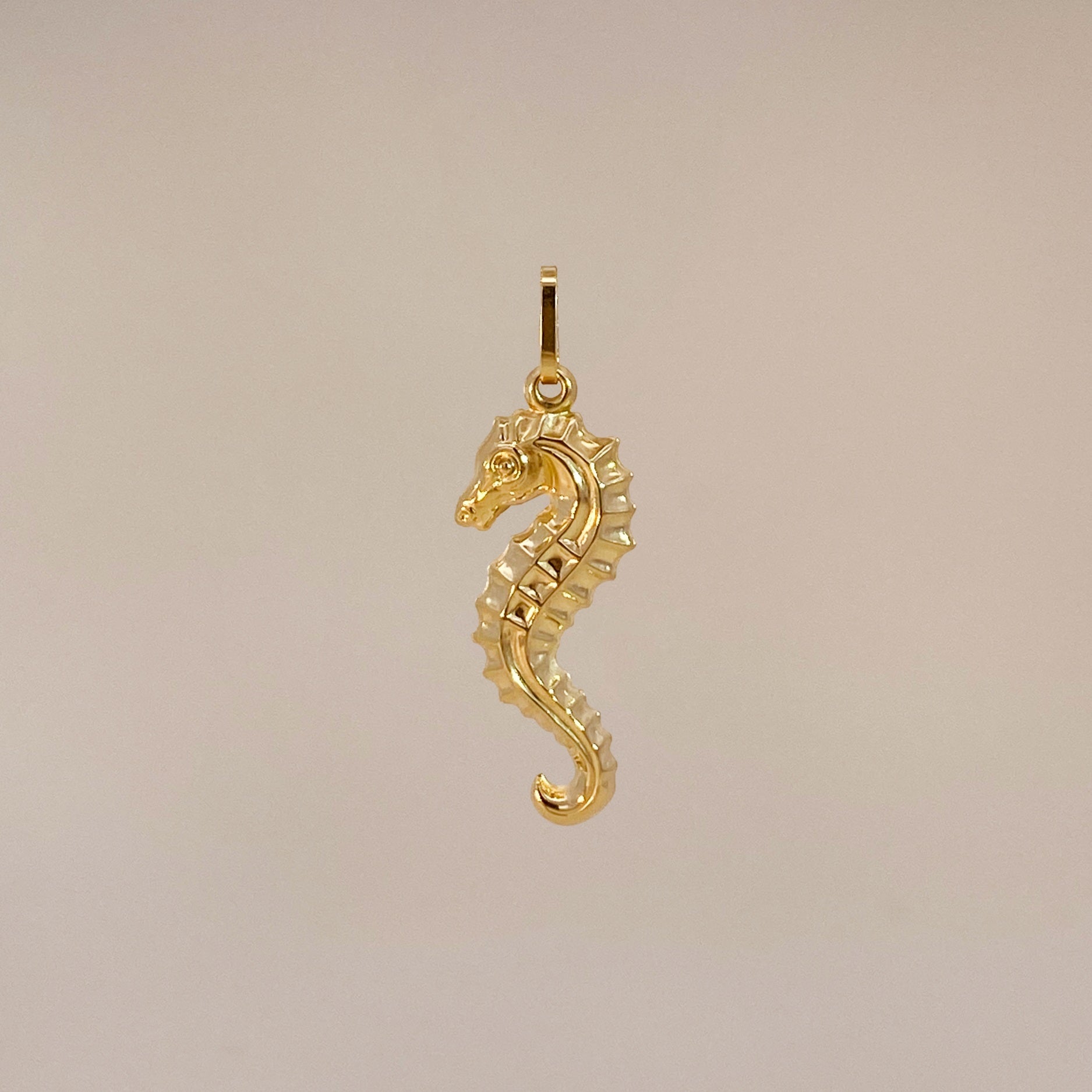 Solid 14k Gold offers Seahorse Charm