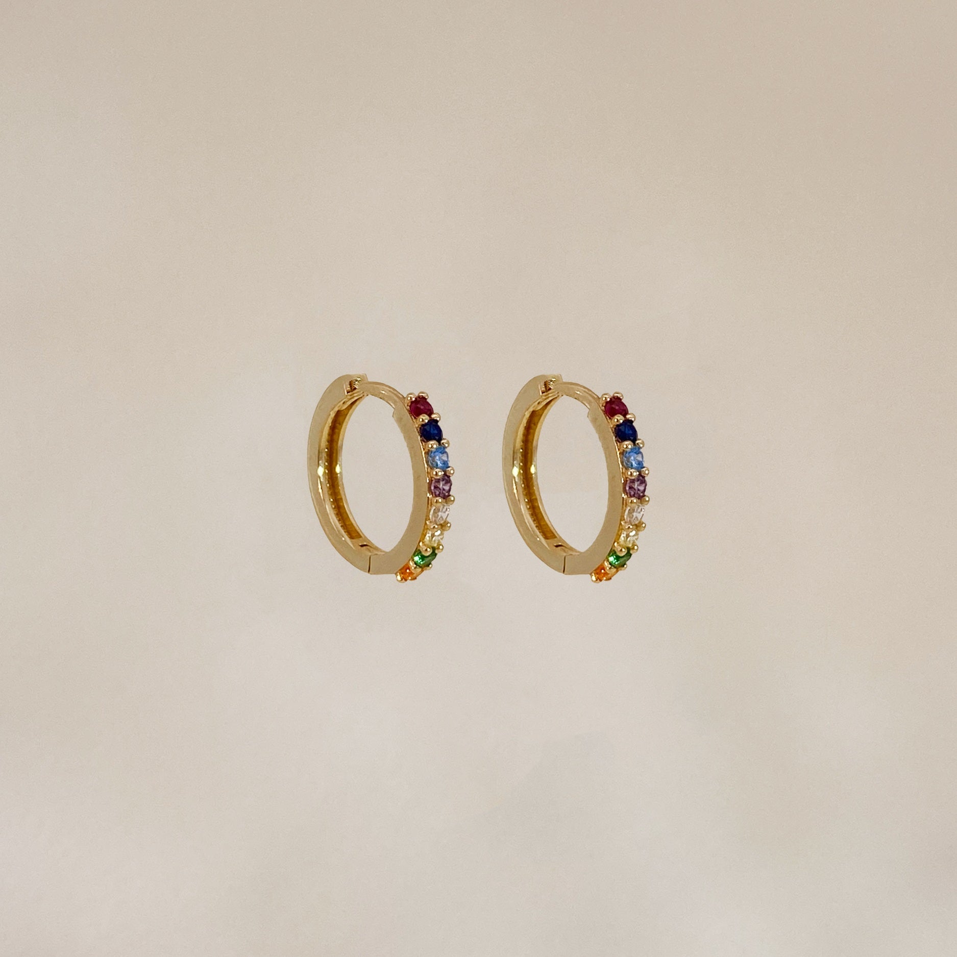 Bold Rainbow Earring