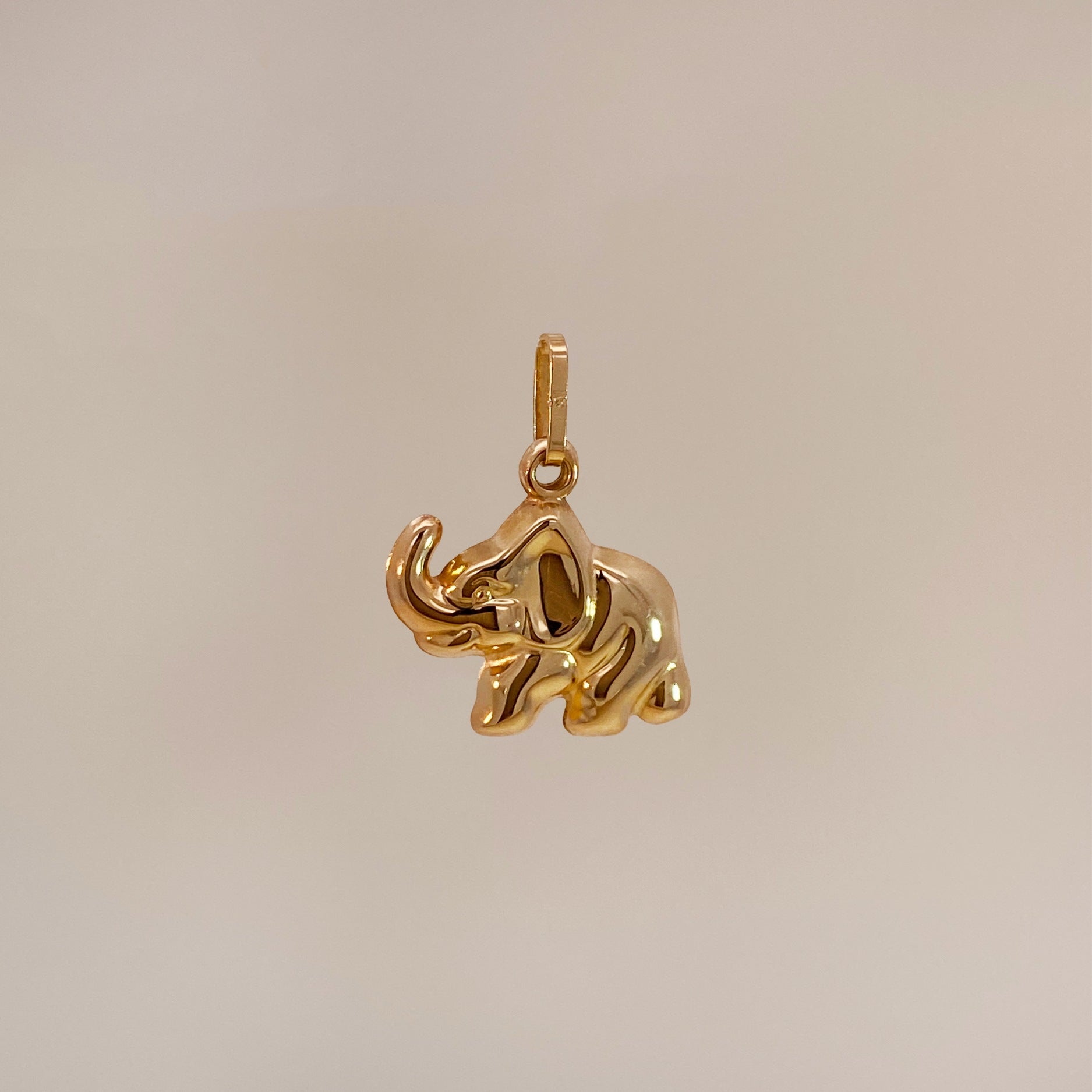 Elephant Charm