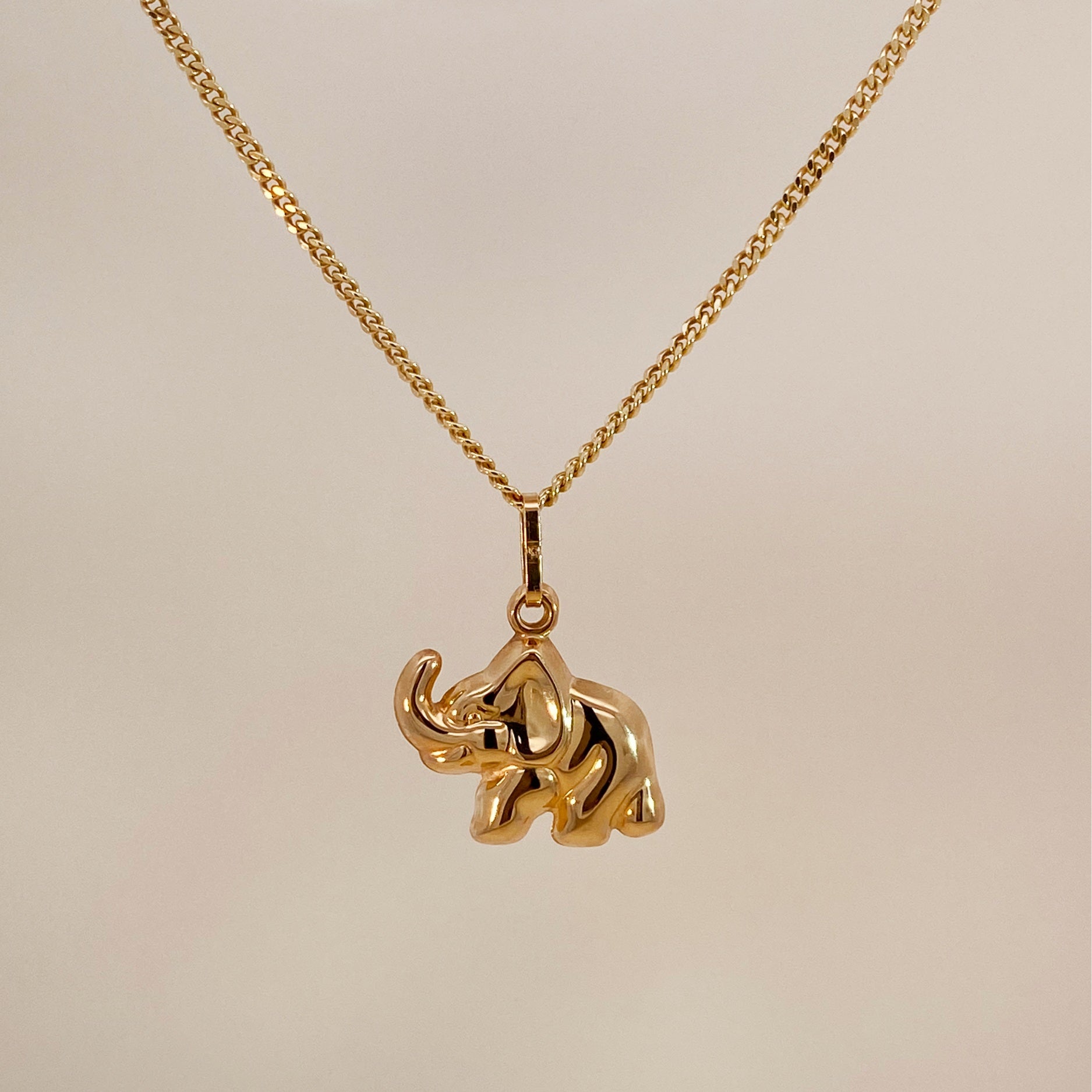 Elephant Charm Necklace