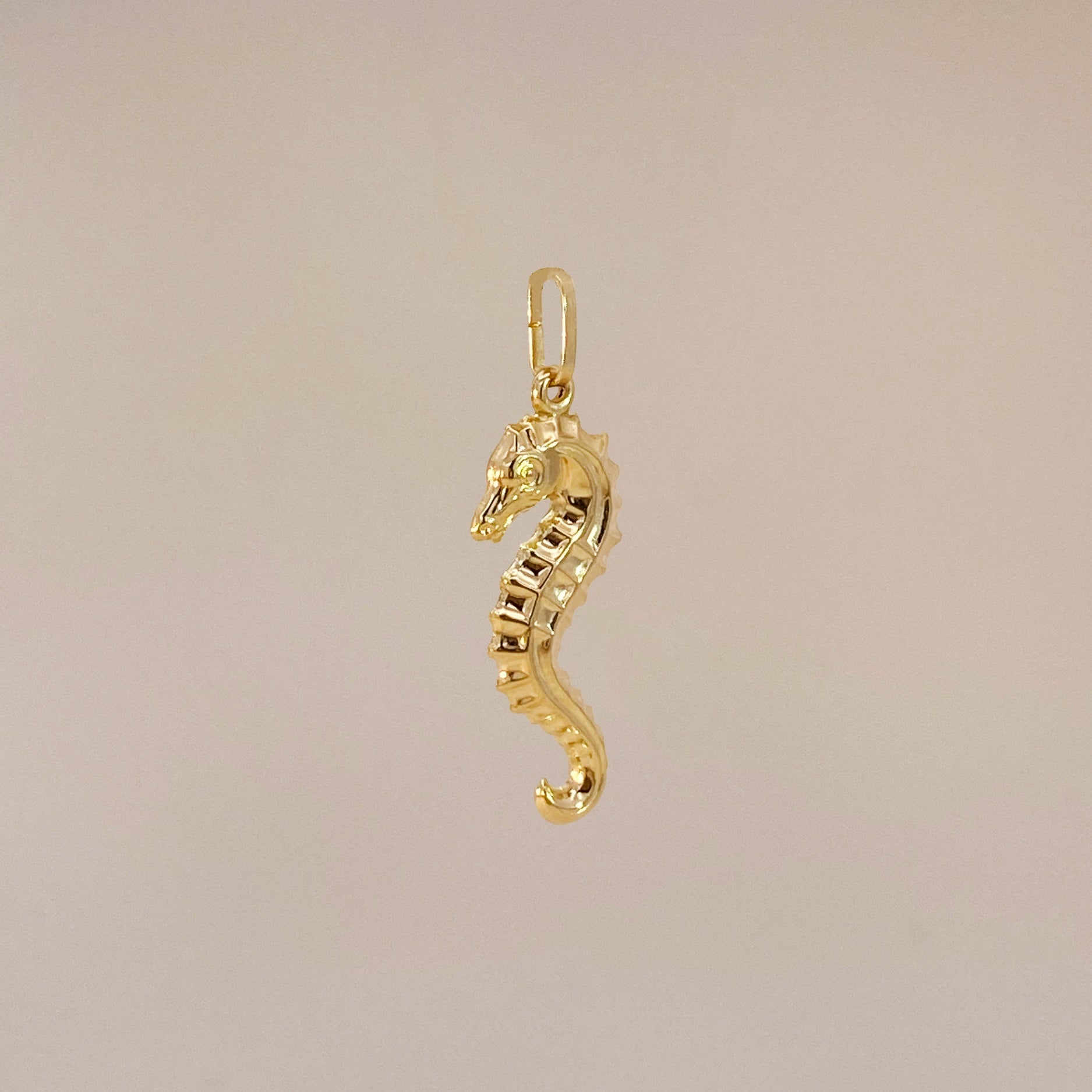 Golden Seahorse Charm