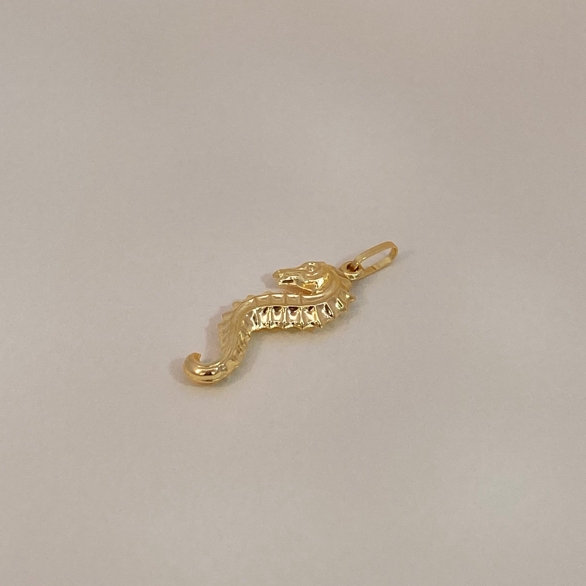 Long Seahorse Charm