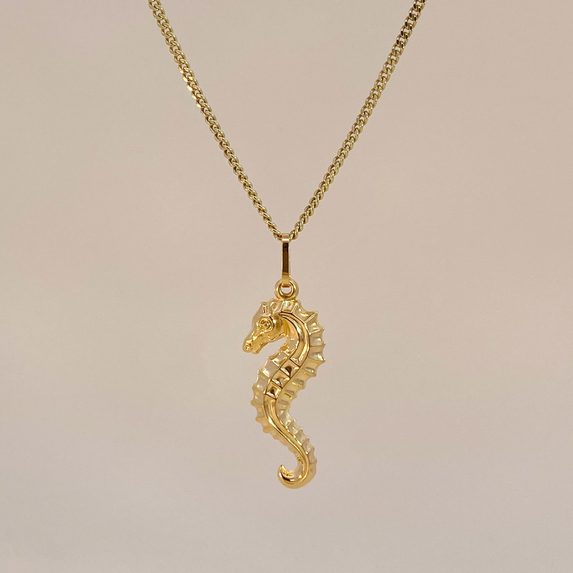 Seahorse Charm Necklace