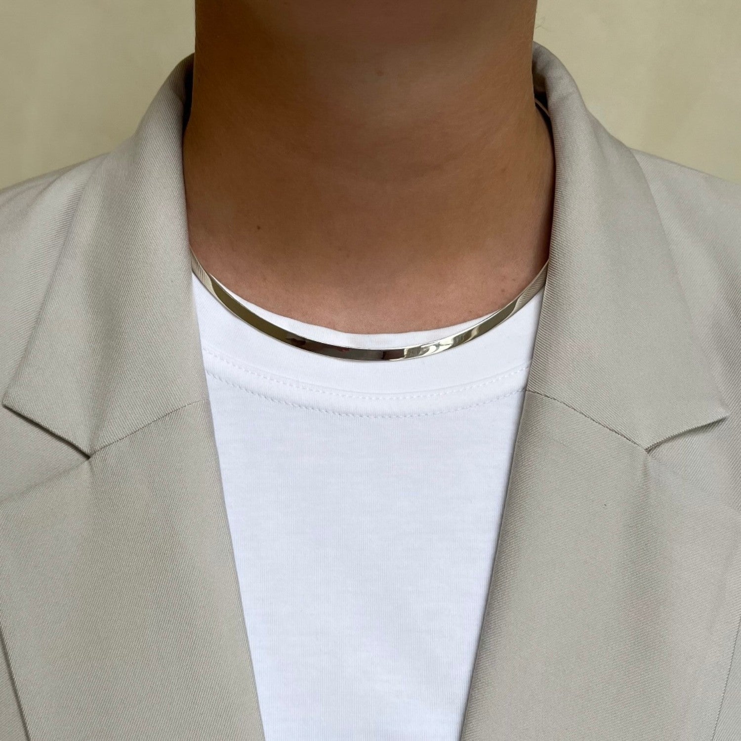 Silver Choker Necklace