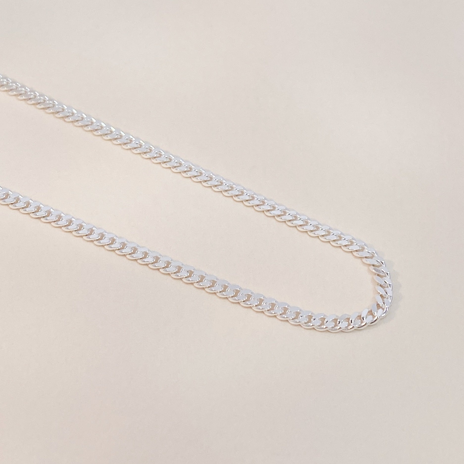 Silver Gourmet Long Necklace