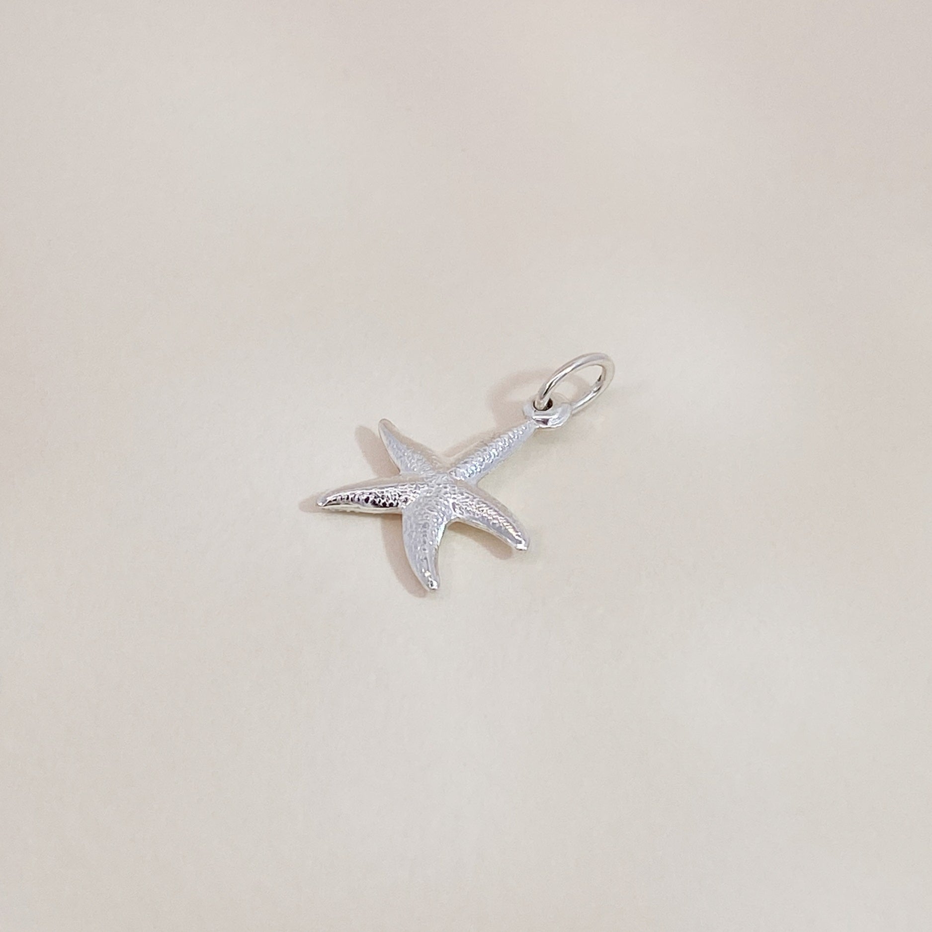 Starfish Pendant Zilver