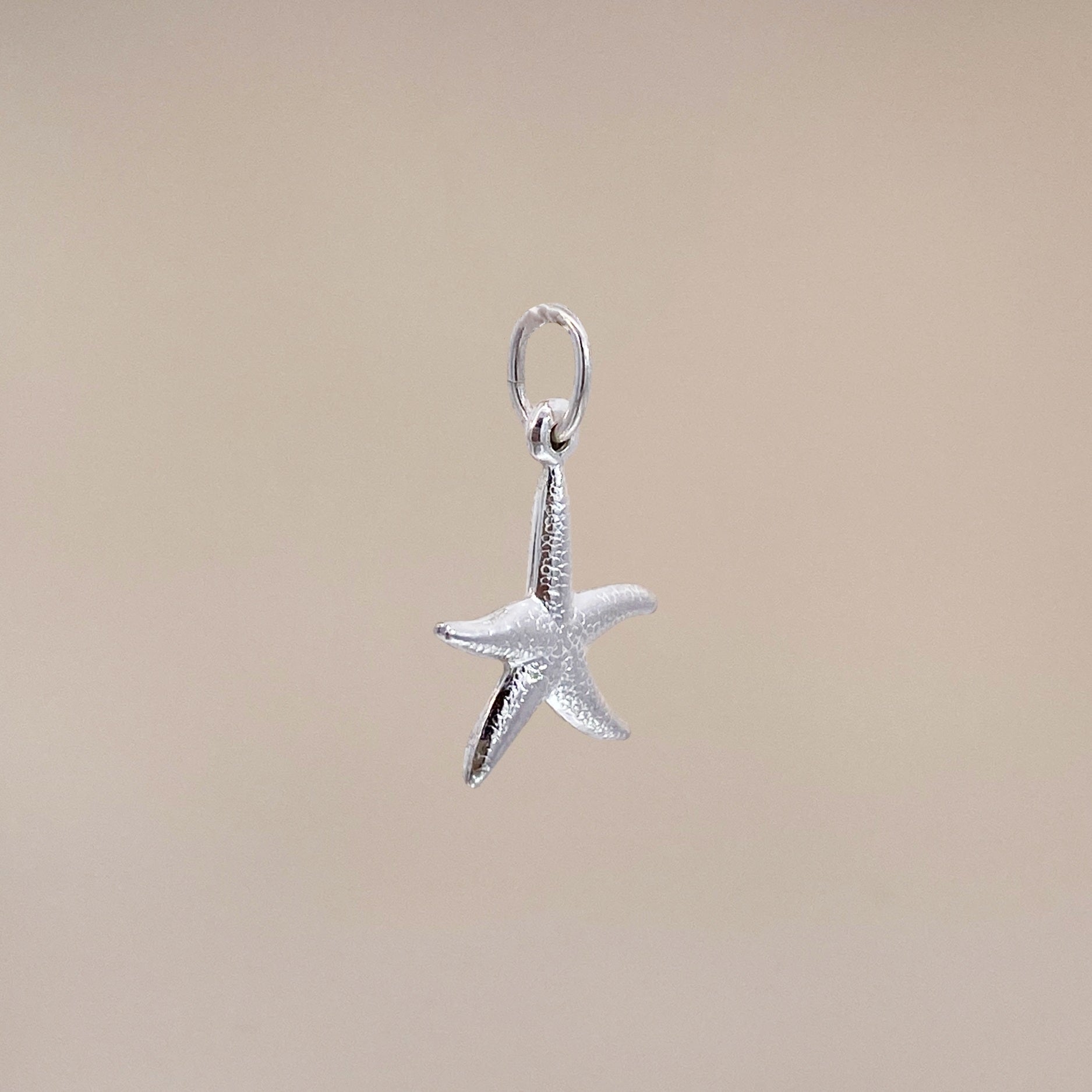 Zilveren Starfish Pendant