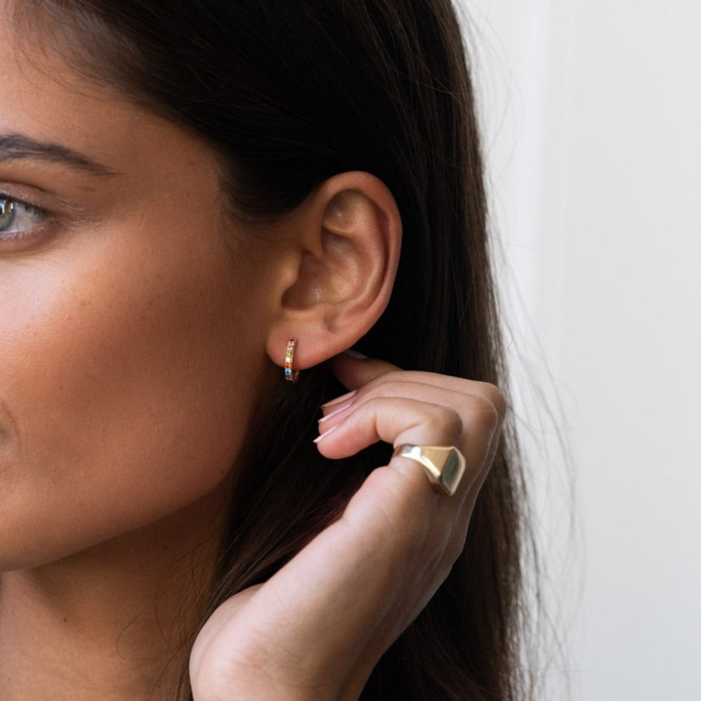 Bold Rainbow Earring